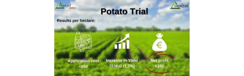 Potato trial: UAN stabilized with DeltaLent Active 1.3